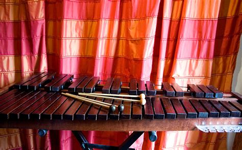 The Xylophone Blue: A Musical Journey into Fantasy